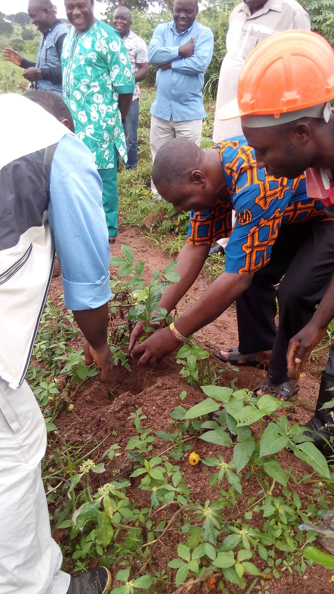 inbound6044504774816610060