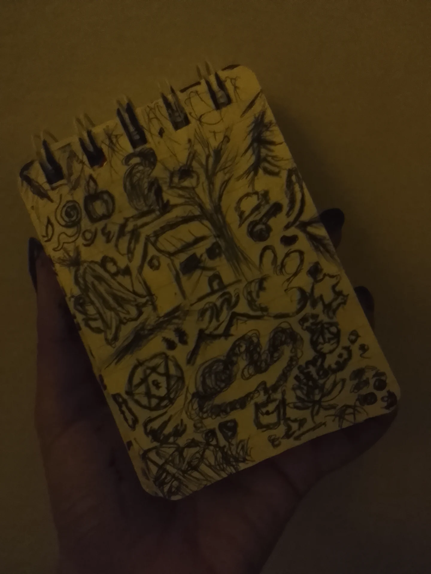 naulakhariddhima5 portfolio work