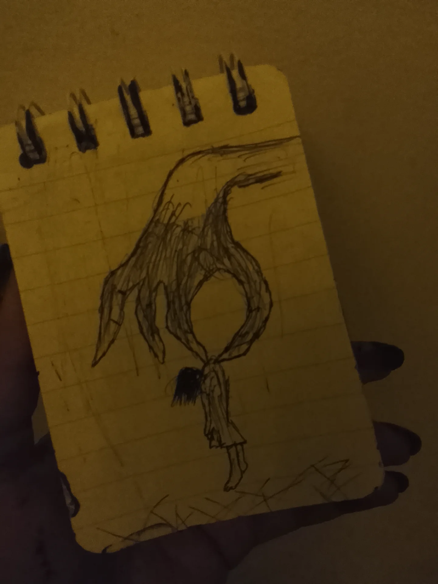 naulakhariddhima5 portfolio work