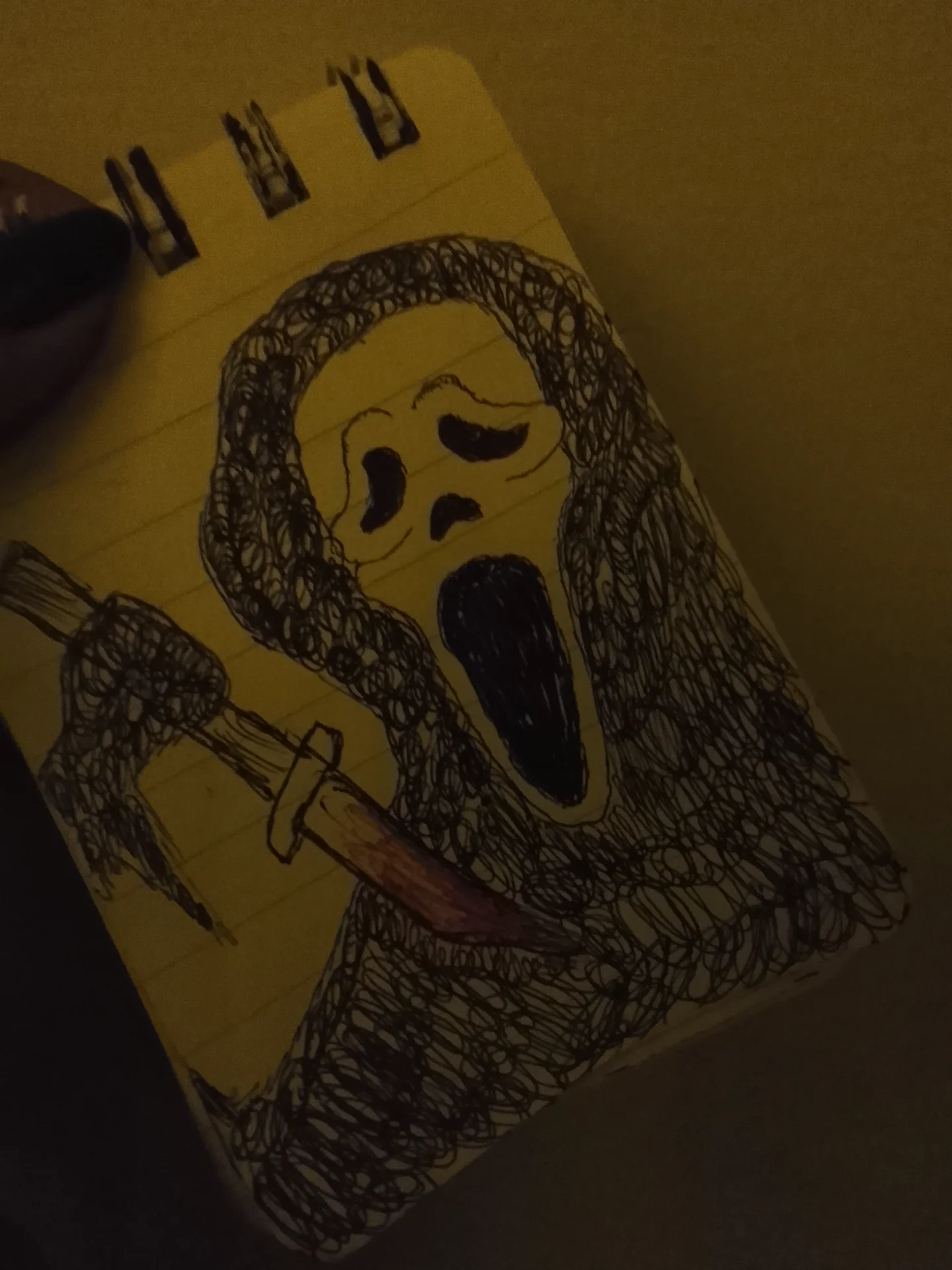 naulakhariddhima5 portfolio work