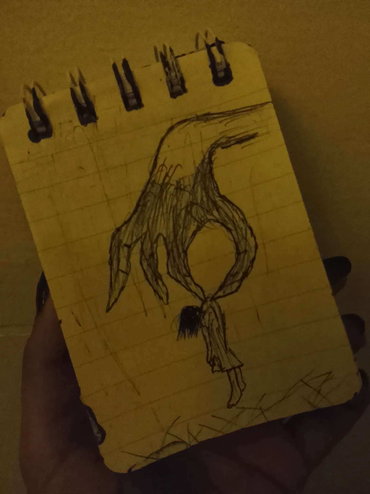 naulakhariddhima5 portfolio work