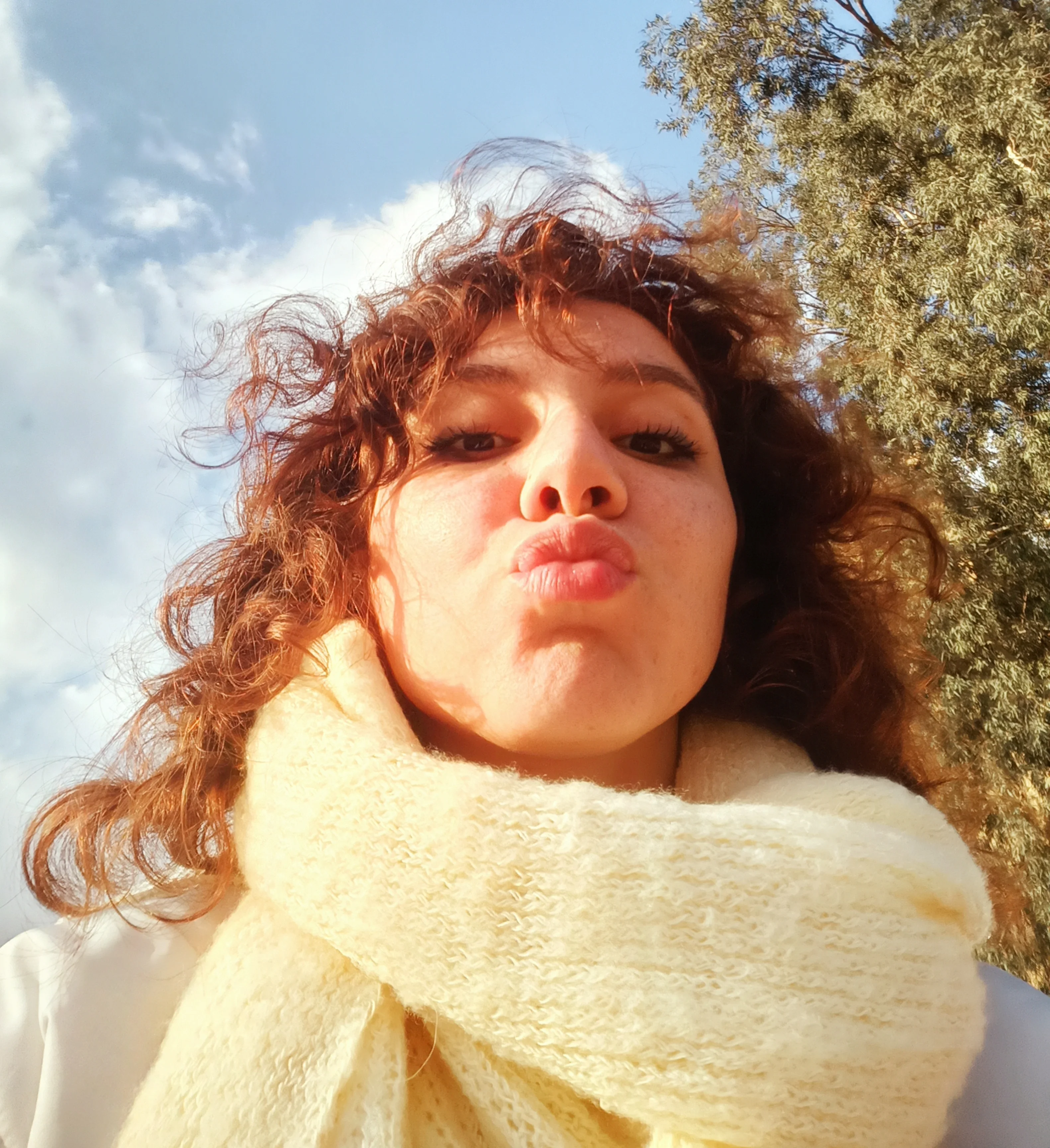 donzygaber profile photo