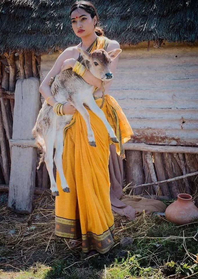 Dr. Diljeet Singh Dogra  portfolio work