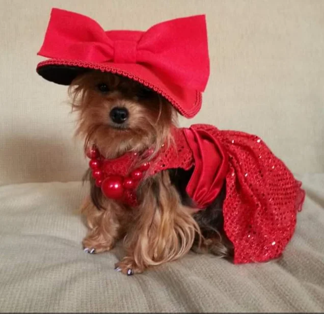 inbound4315953008365581752