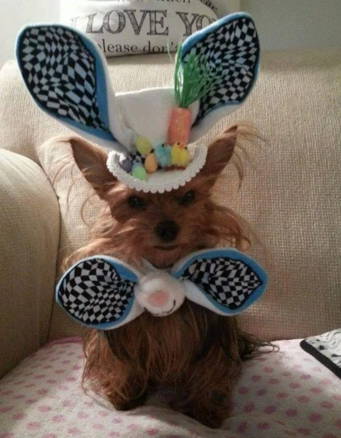 inbound6814467064155786153