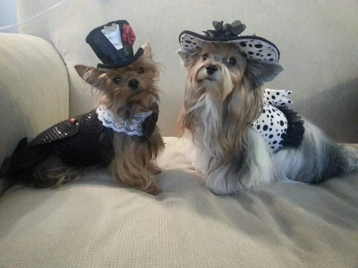 inbound7172185466198550117