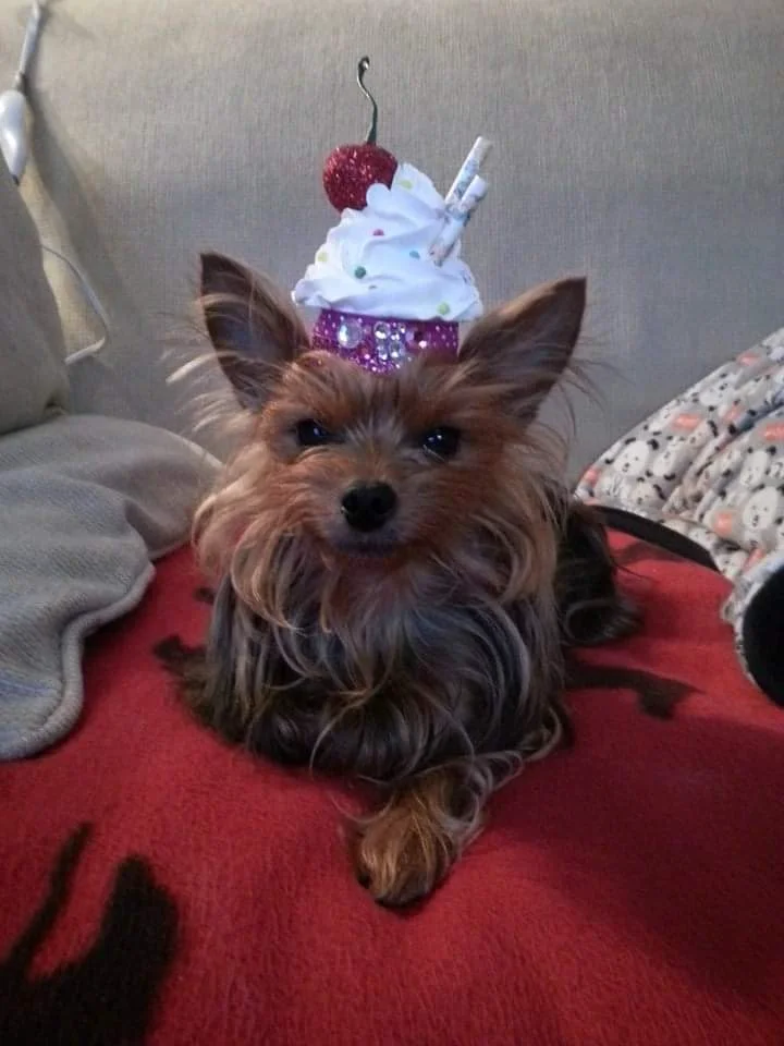 inbound8737401494523415166