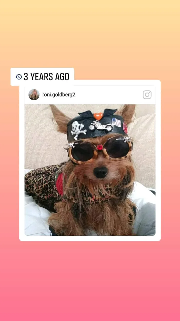 inbound8804598203791283712