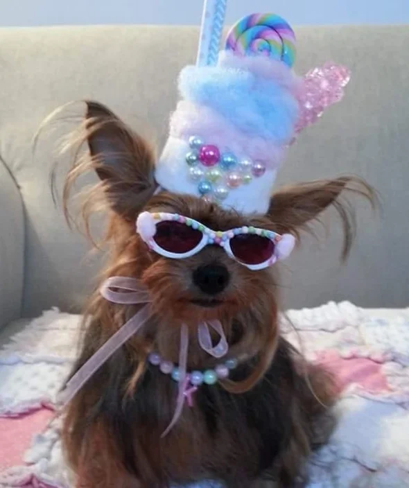 inbound428973594193164681