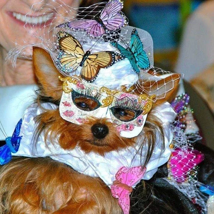 inbound3760572938553145568