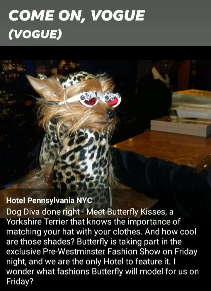 inbound8568538539651217269