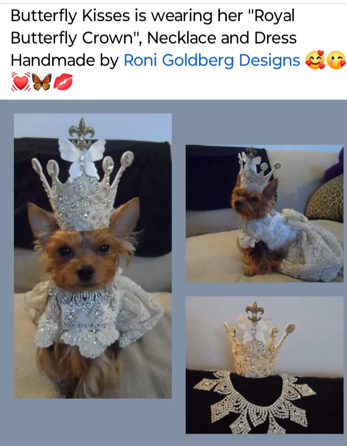 inbound280750734205839491