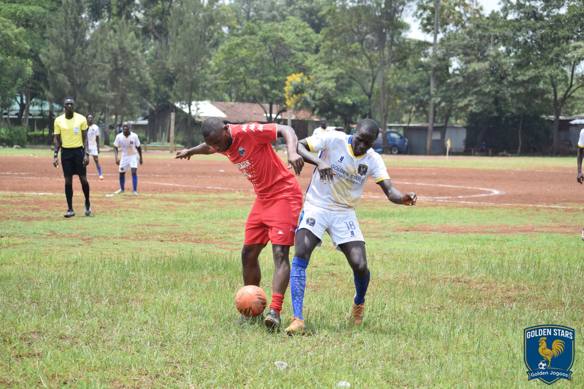 inbound3287055249683277251