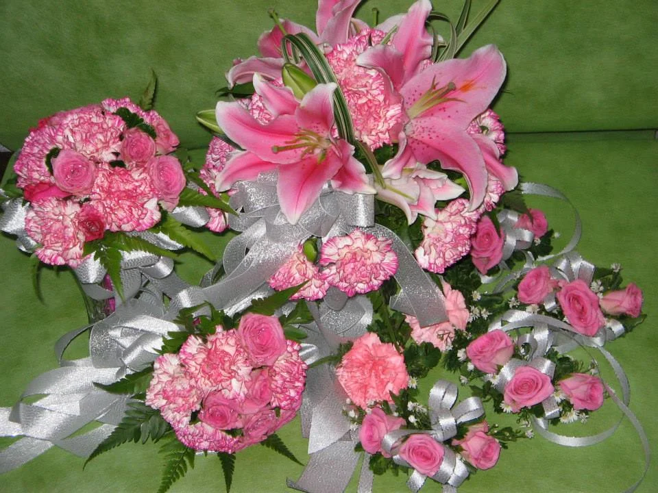 Gina Dy  portfolio work