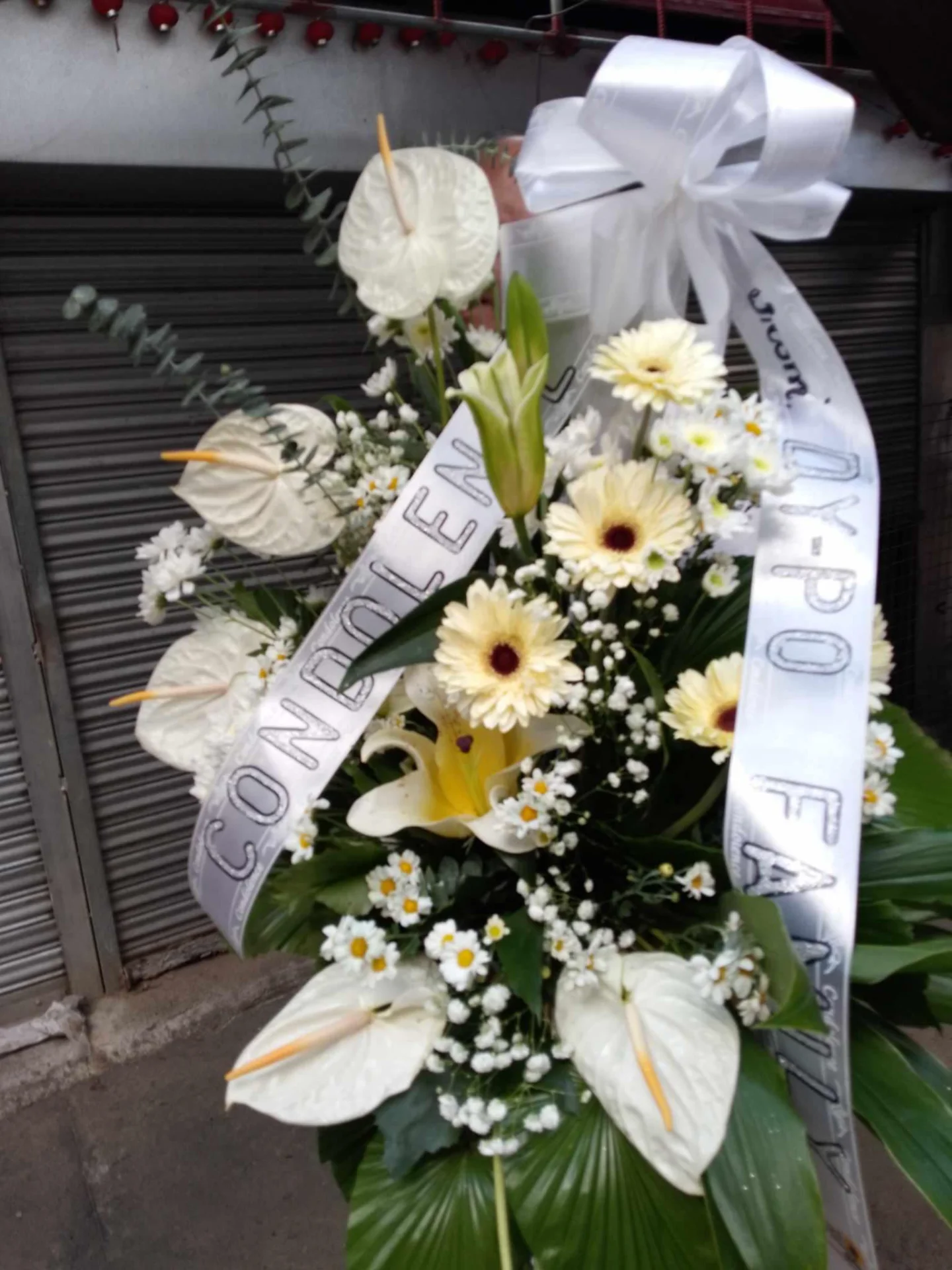 Gina Dy  portfolio work