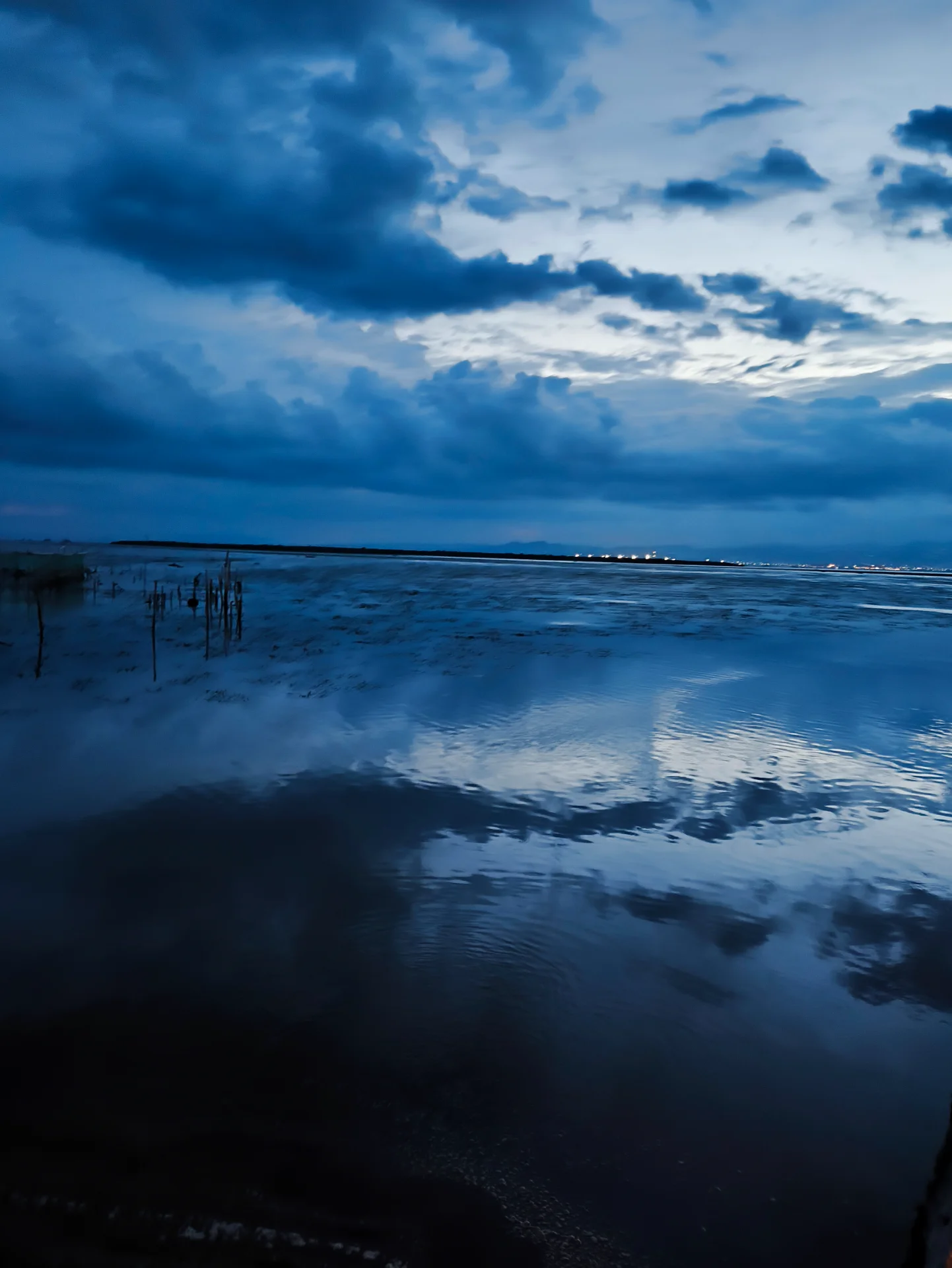 inbound8993053921356830599