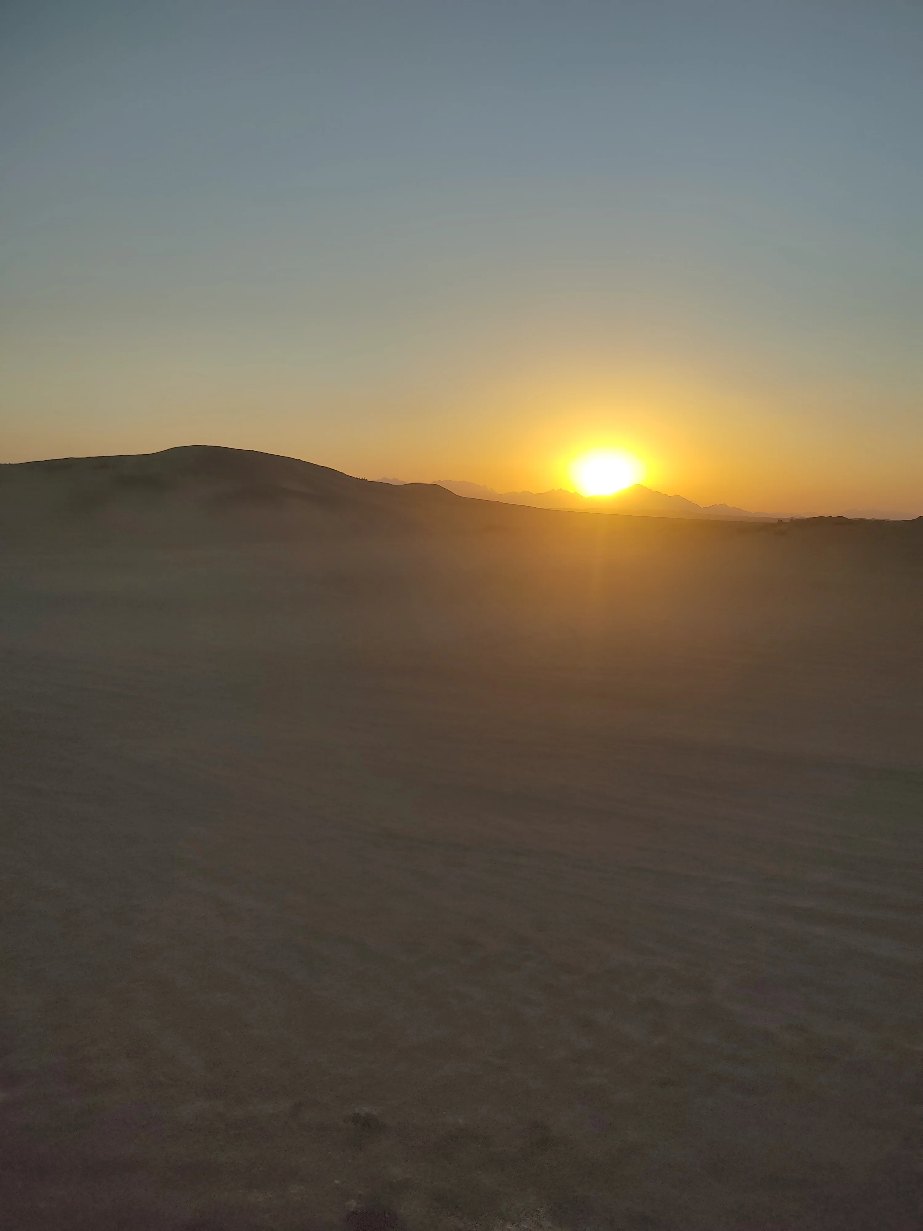 helsamanody29 profile photo