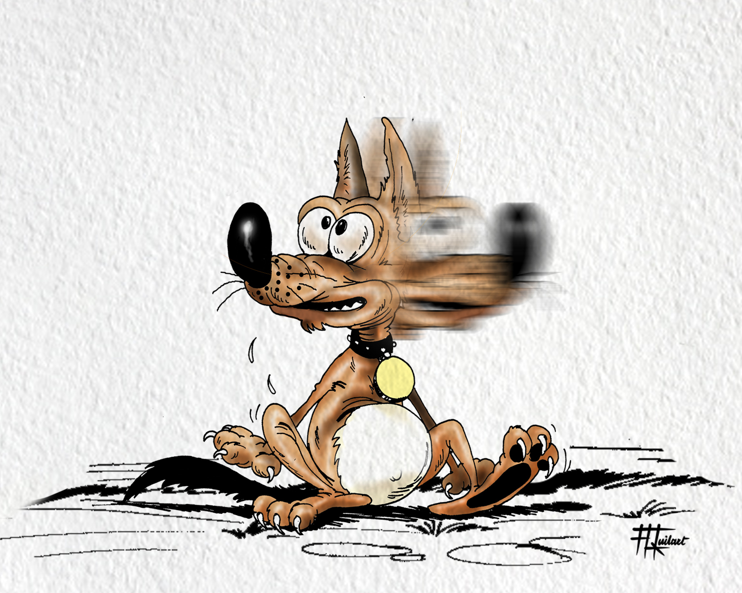 Brisca portfolio work