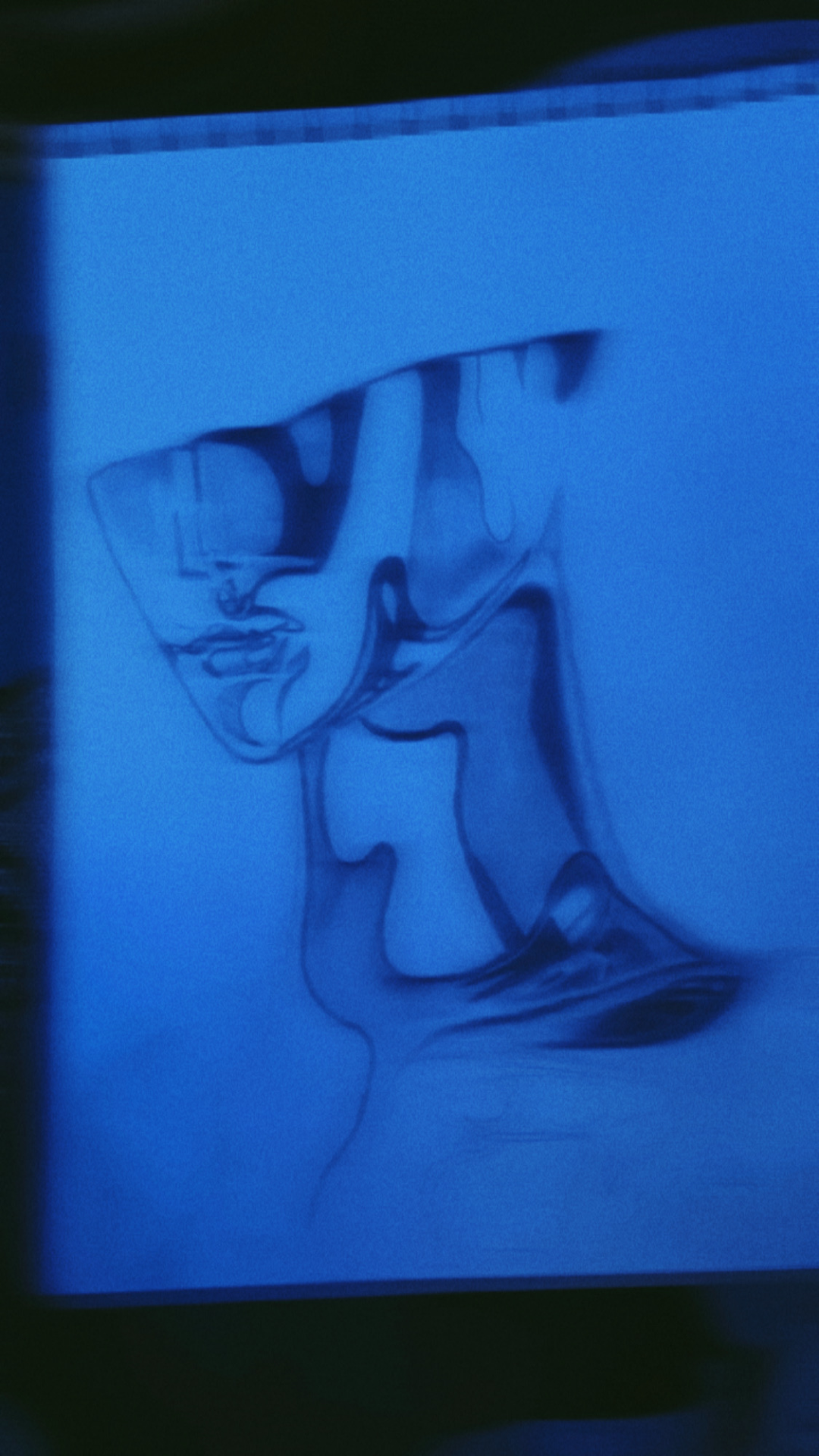 lwandisonkosi1 portfolio work