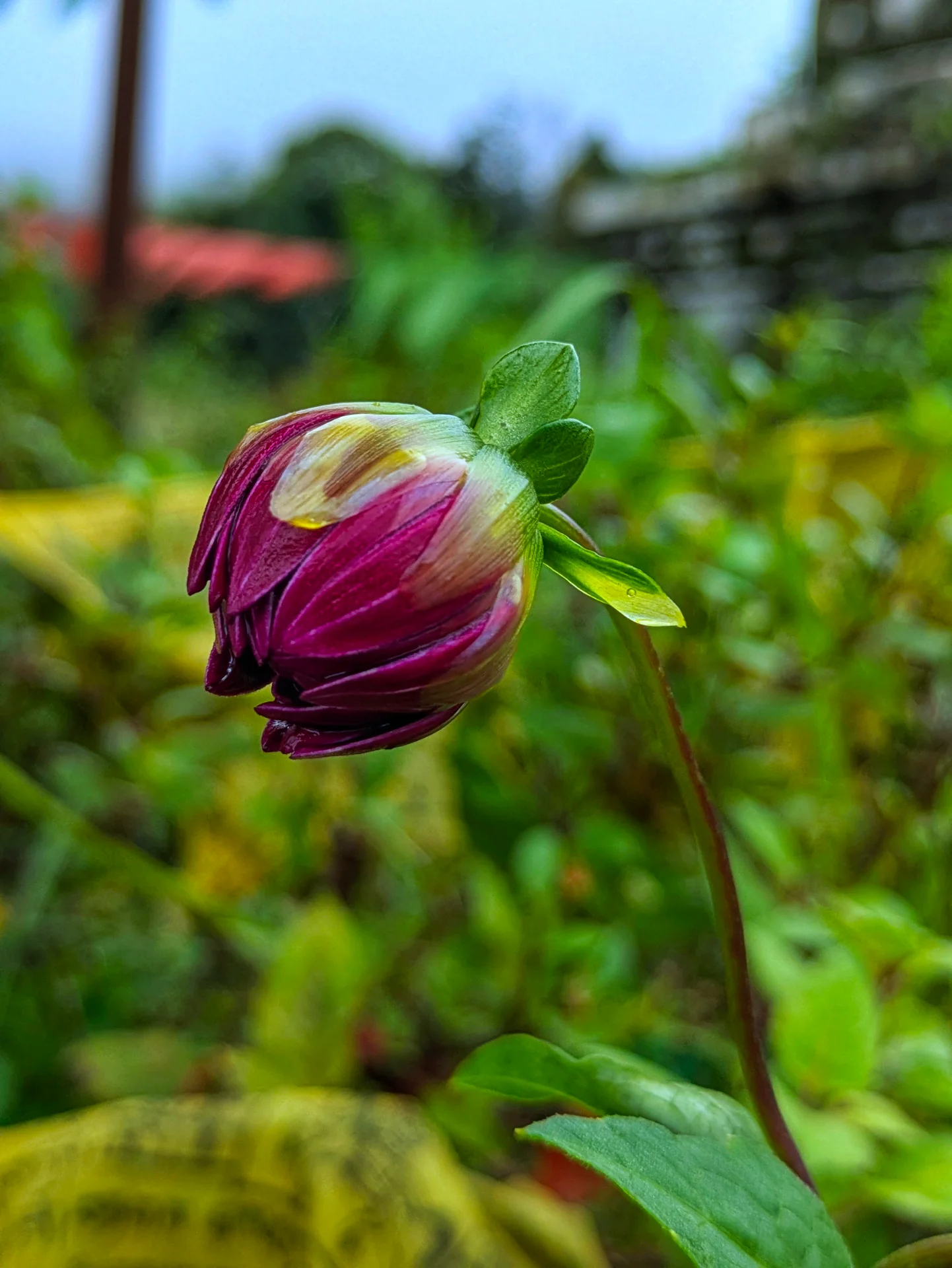 inbound202521687468660540