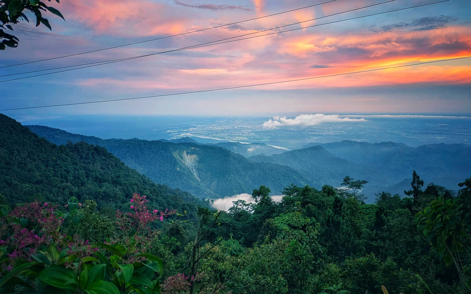 inbound846984084824364741