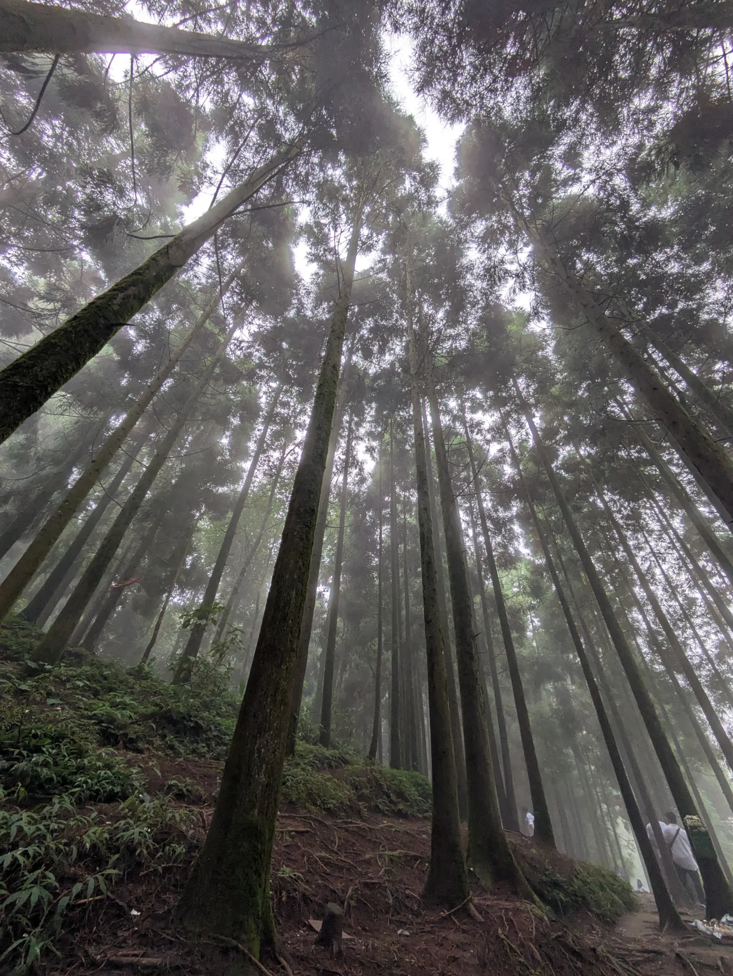 inbound3631522949962079077