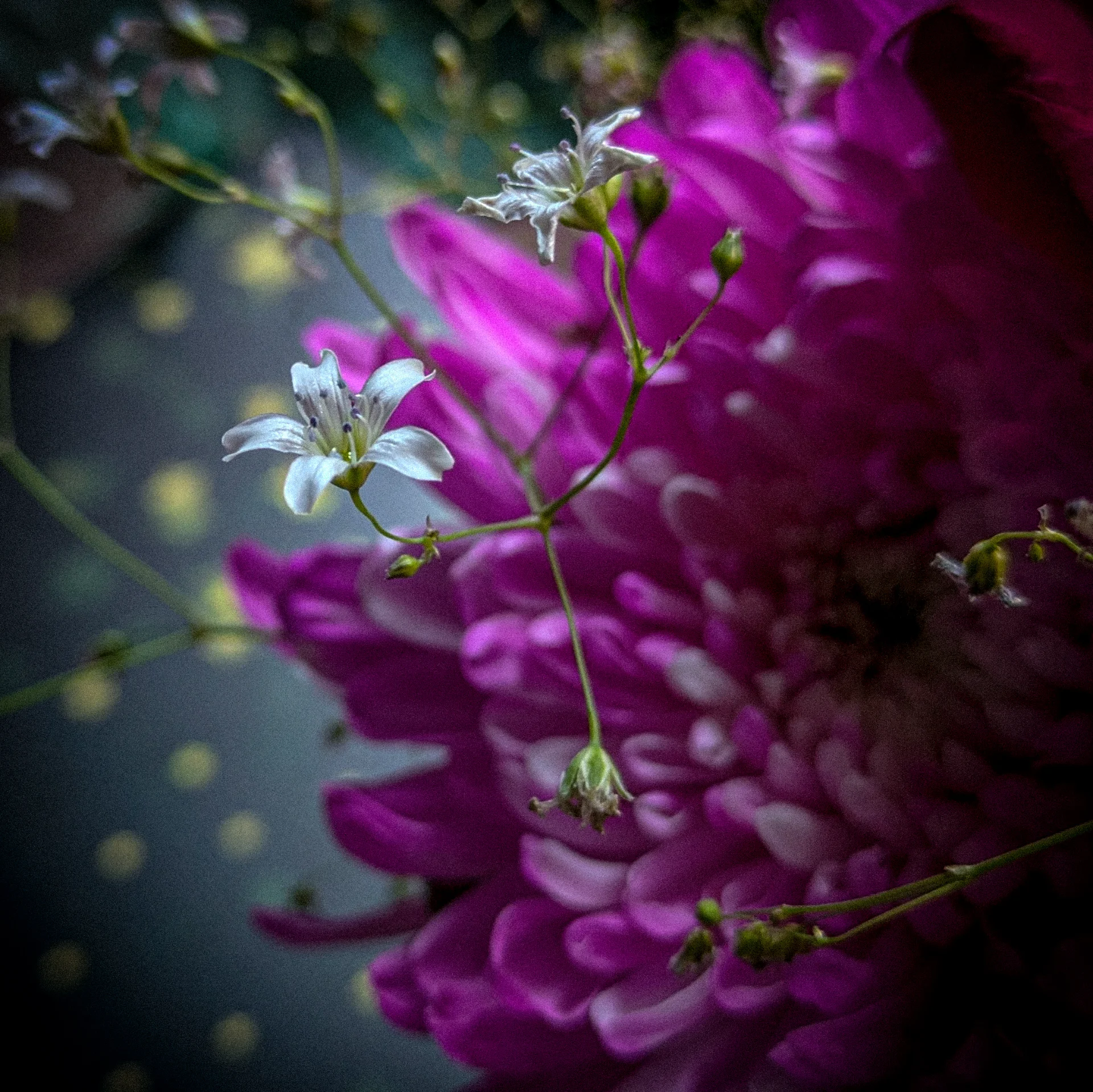 inbound3582145862843580379