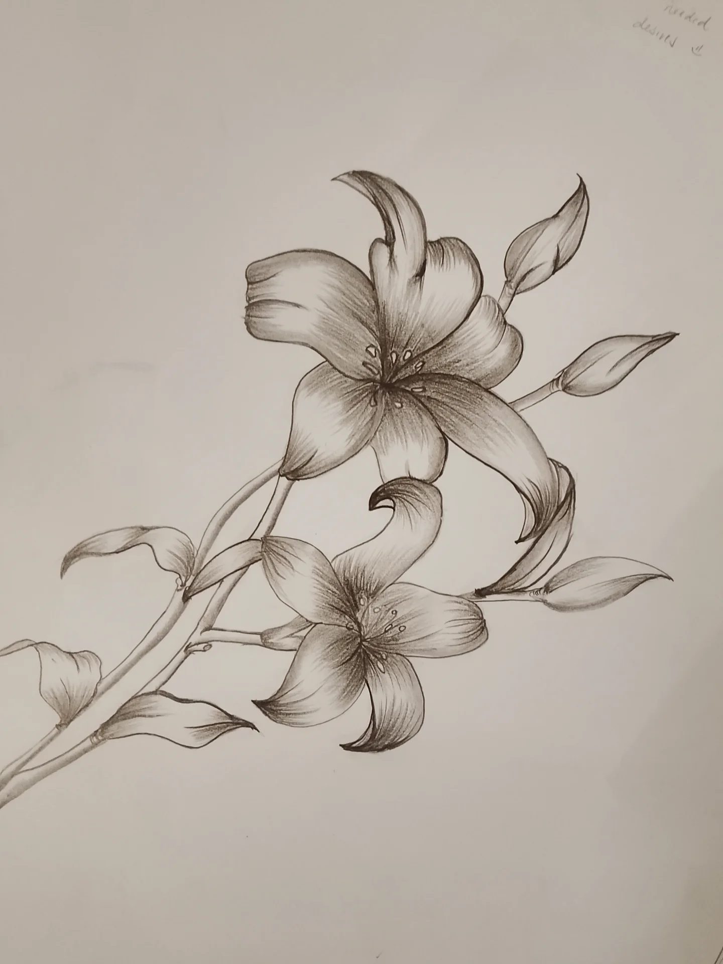 Portfolio by aidenmarcocabonita, portfolio