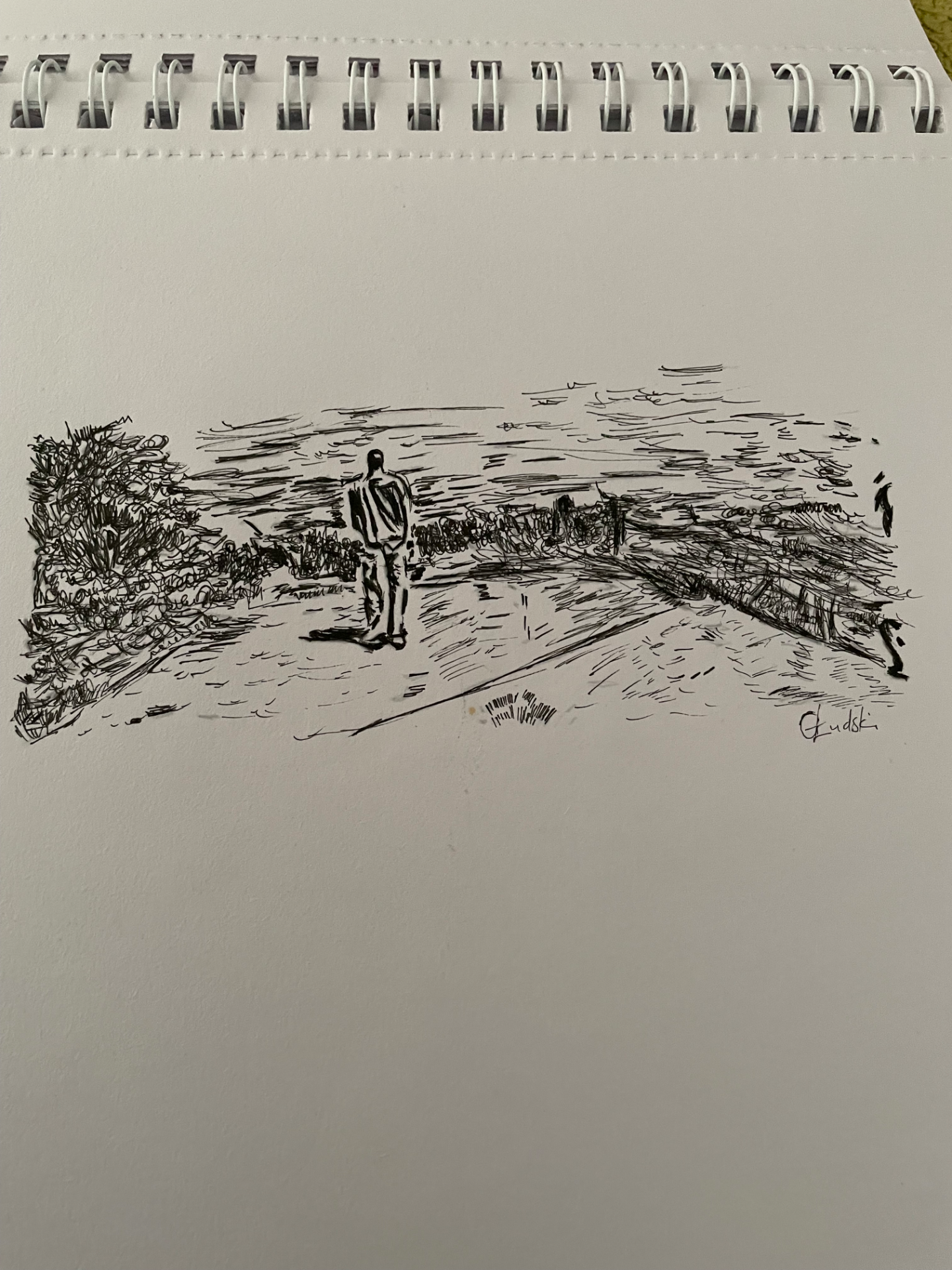 Ink drawings by gabiludski, editorial design