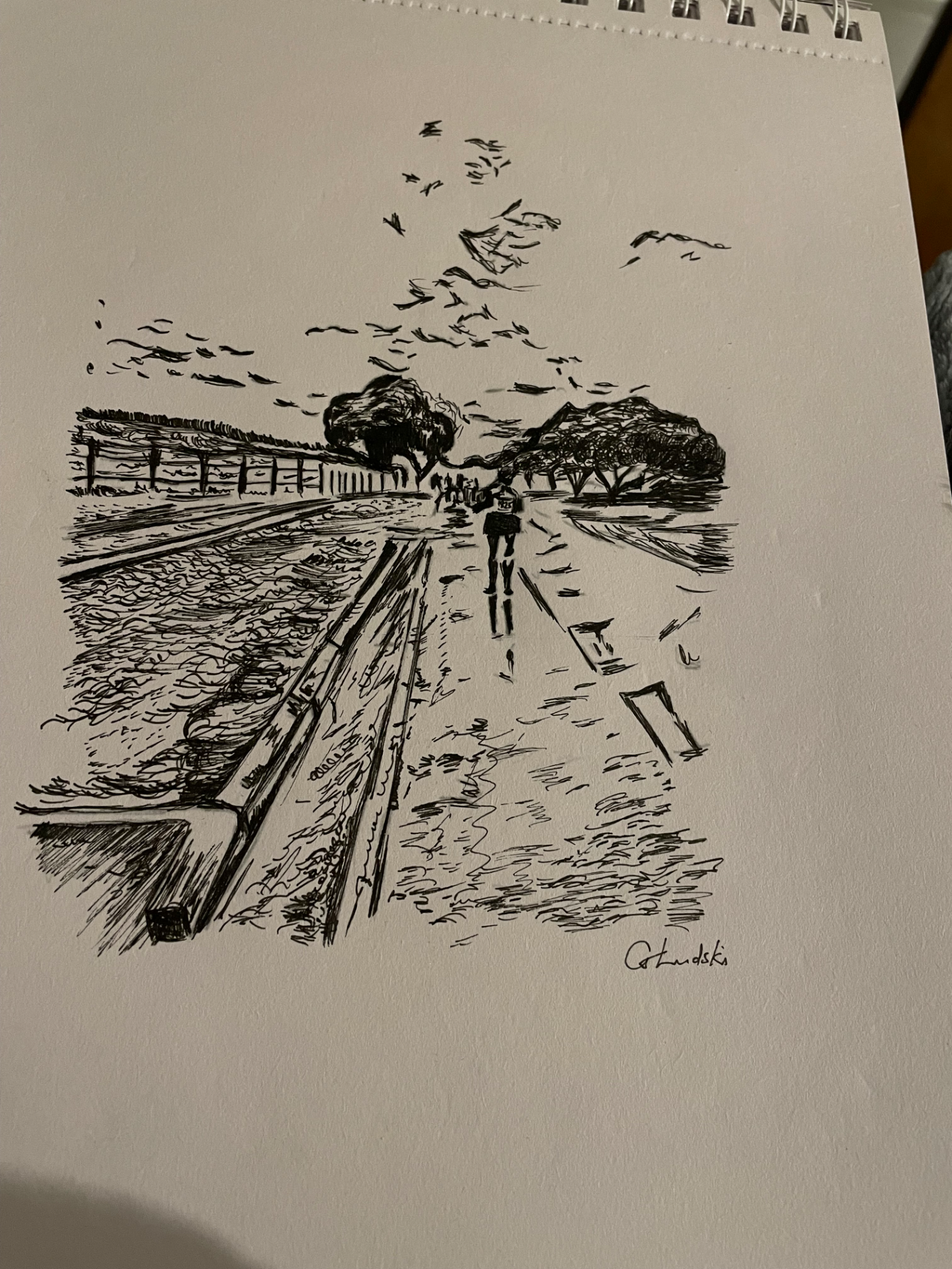 Ink drawings by gabiludski, editorial design