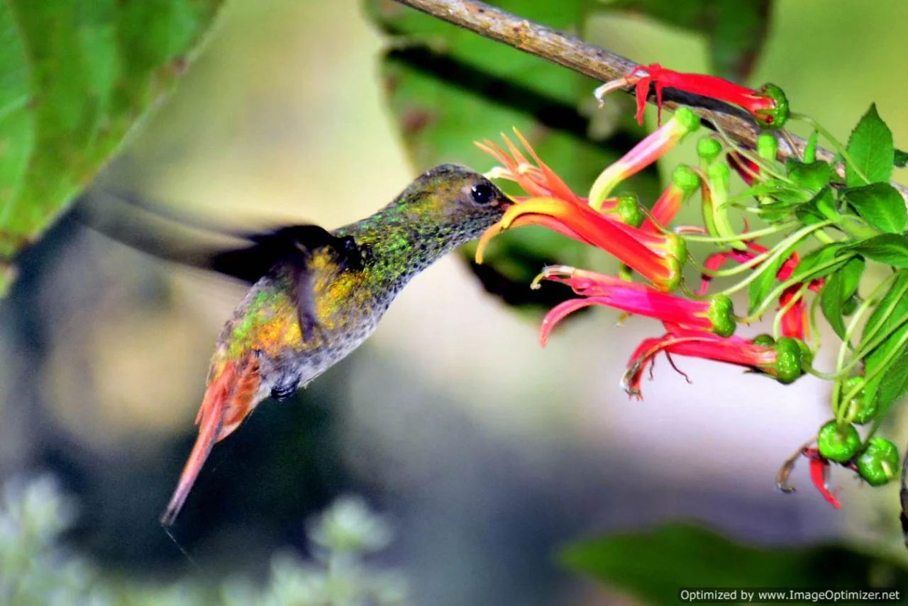 Hummers etc by Eric Eberman, fashion photography