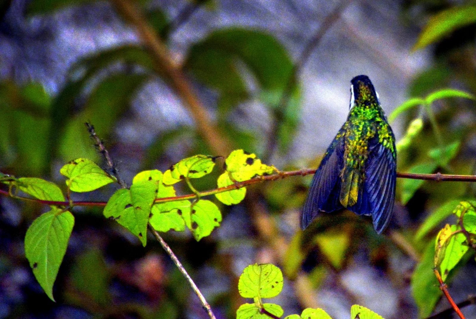 Hummers etc by Eric Eberman, fashion photography