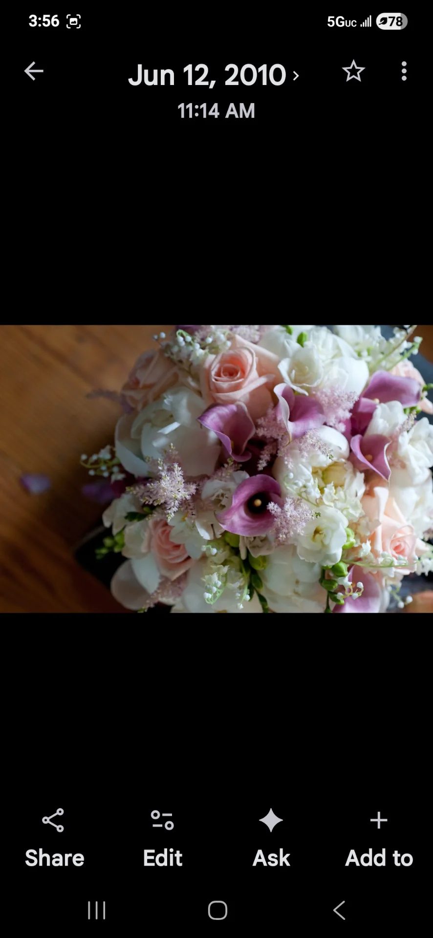 inbound4606813469131601778 by Rooted Affair, portfolio