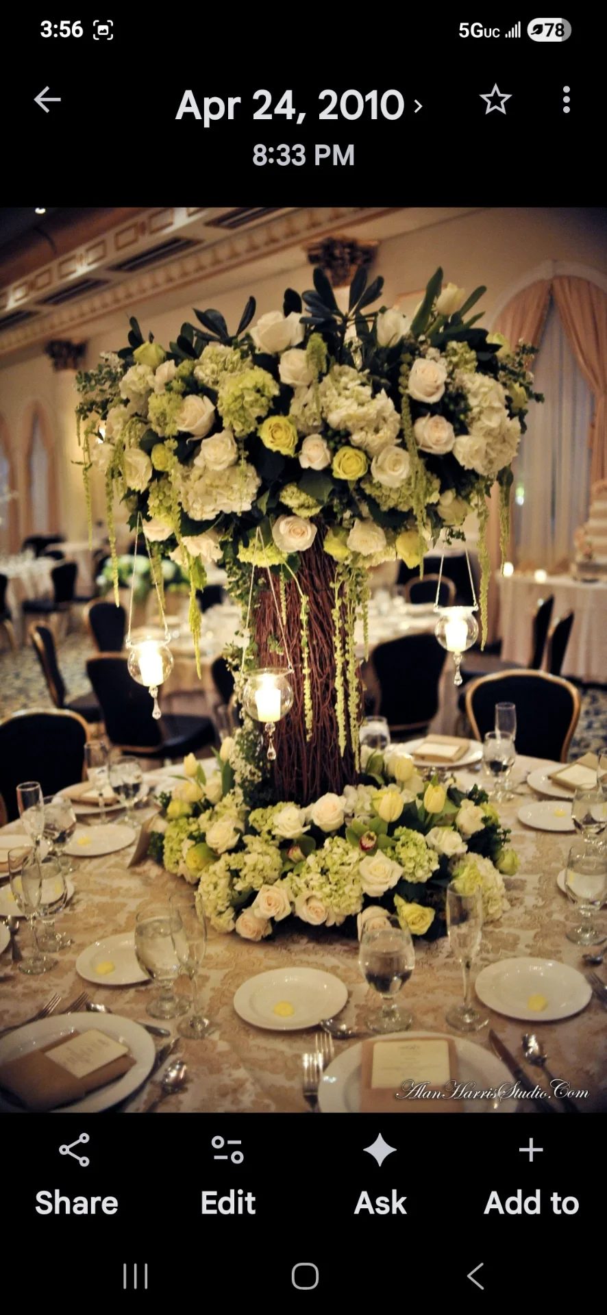 inbound8489494579968572282 by Rooted Affair, portfolio