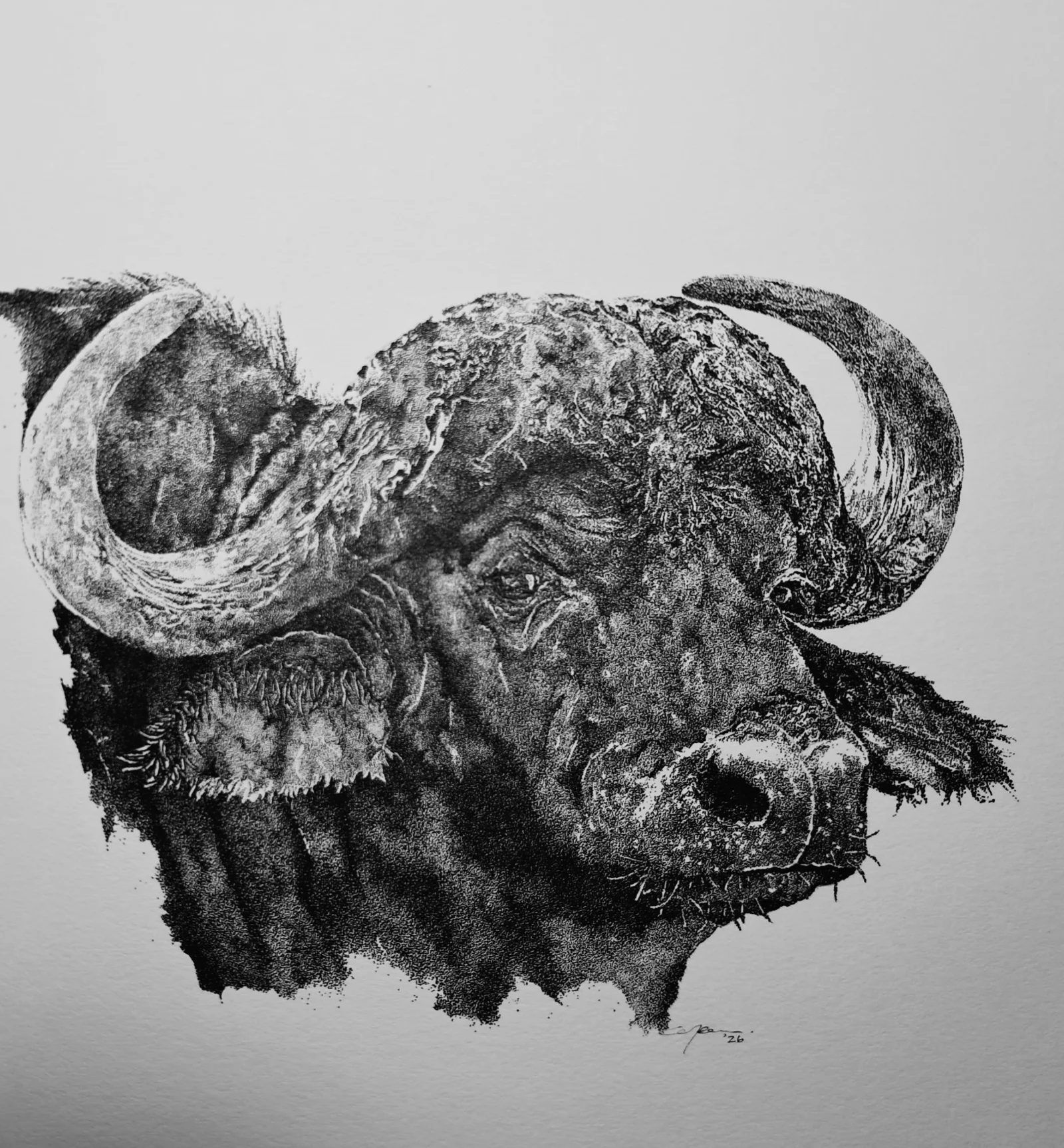 SELECTED WORKS by Yvette , animal manager part time artist
