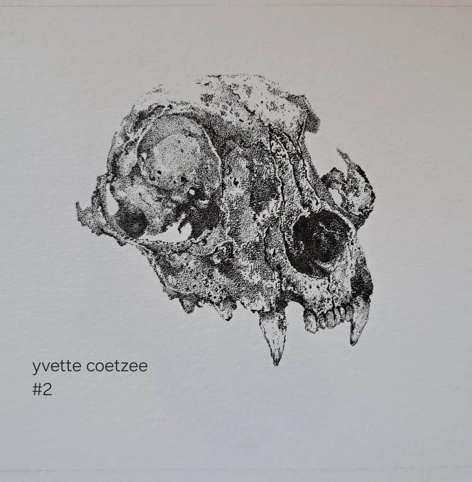 inbound9027734795968447717 by Yvette , animal manager part time artist