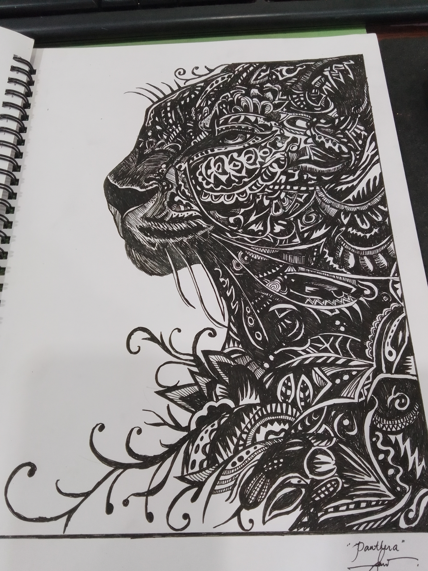 SELECTED INK WORKS by jac, portfolio