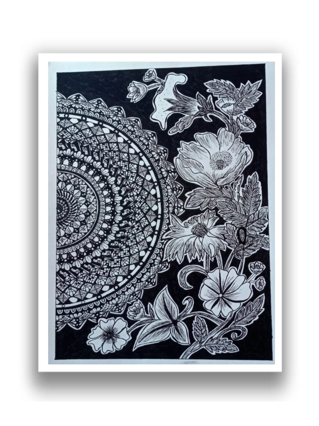 inbound6382143625284467217 by preethibca306, portfolio