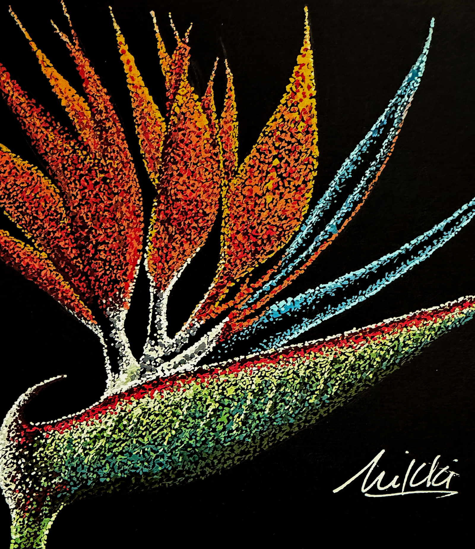Bird of Paradise by mikkikeller, fine art — painter