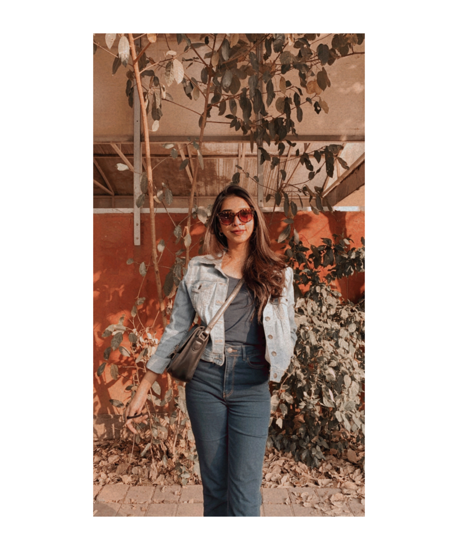 Selected Portfolio by raabiapaul13, portfolio