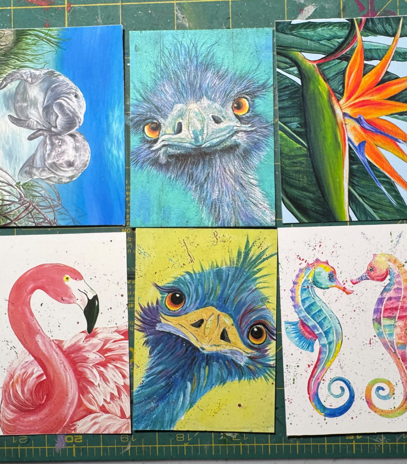Portfolio by Artistrita, portfolio