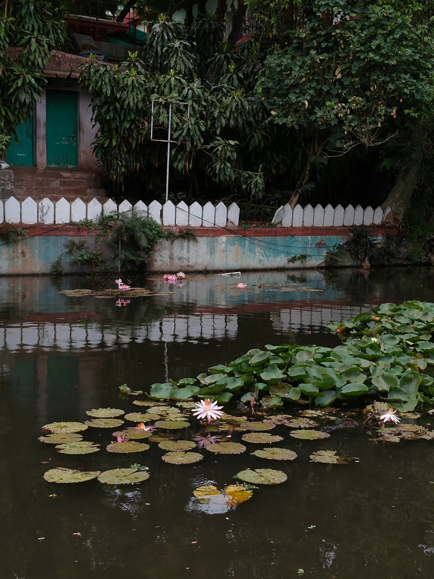 Selected Visuals by Gauri Bhujbal , photography — portrait