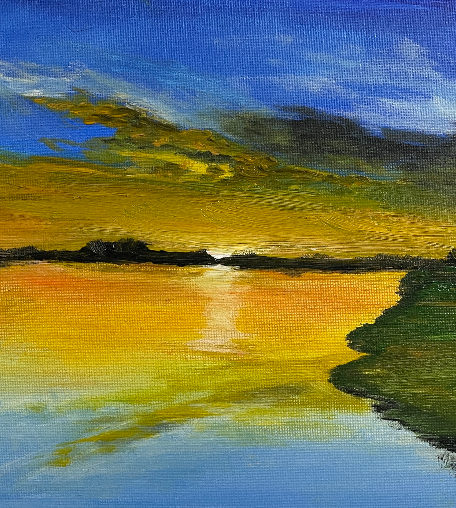 Portfolio by Shanthi Srinivasan , acrylic canvas painting artist