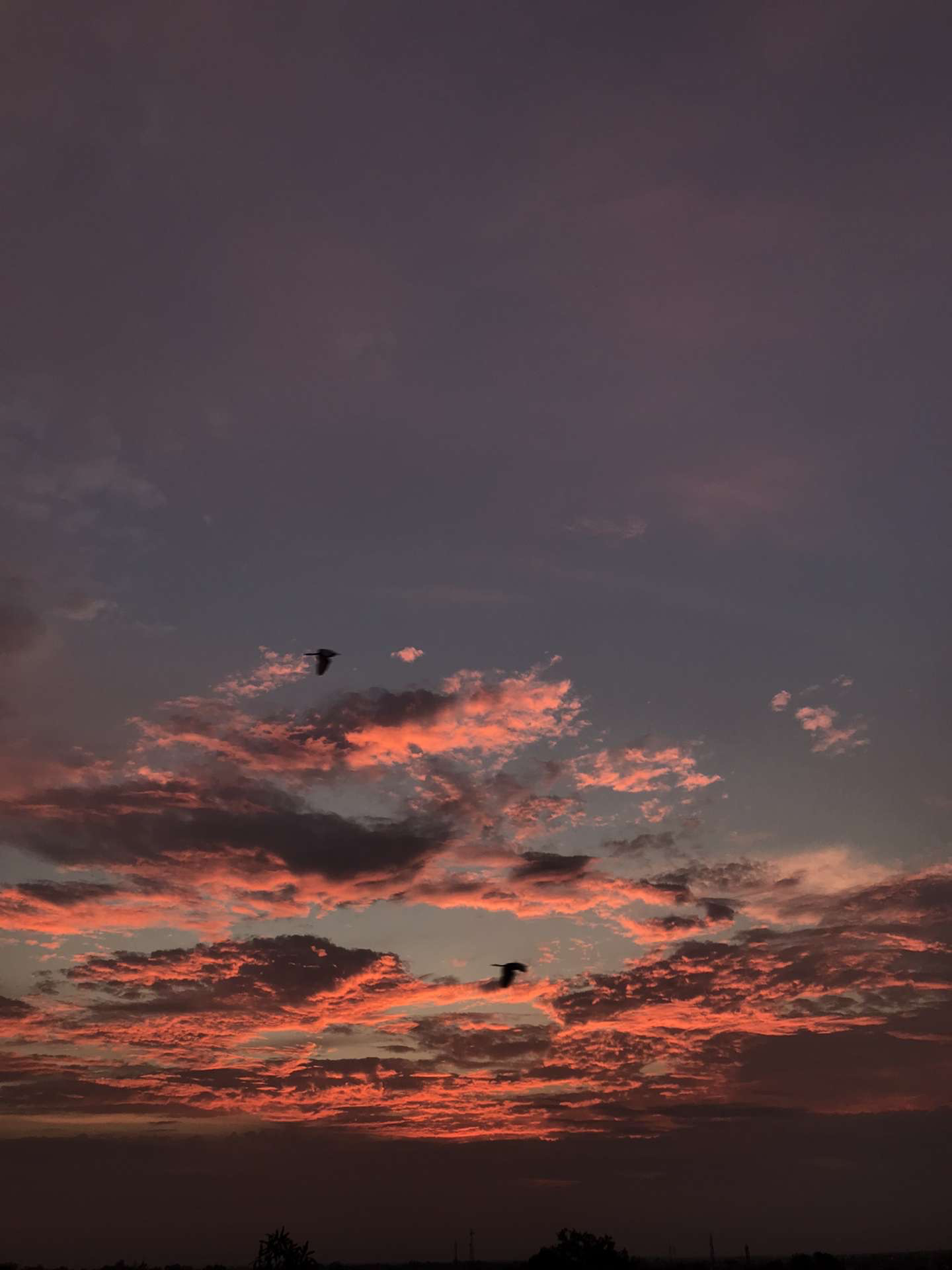 SELECTED ARCHIVE by saif19122000, photodump