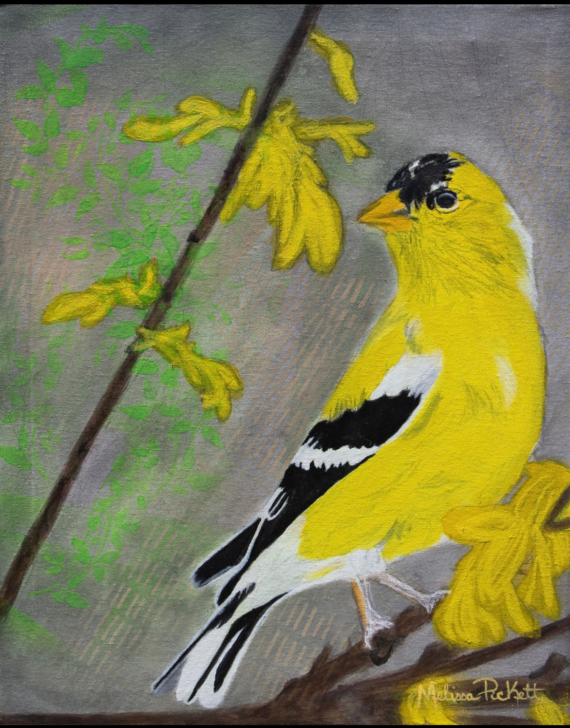 Selected Works by Melissa Pickett, master artist