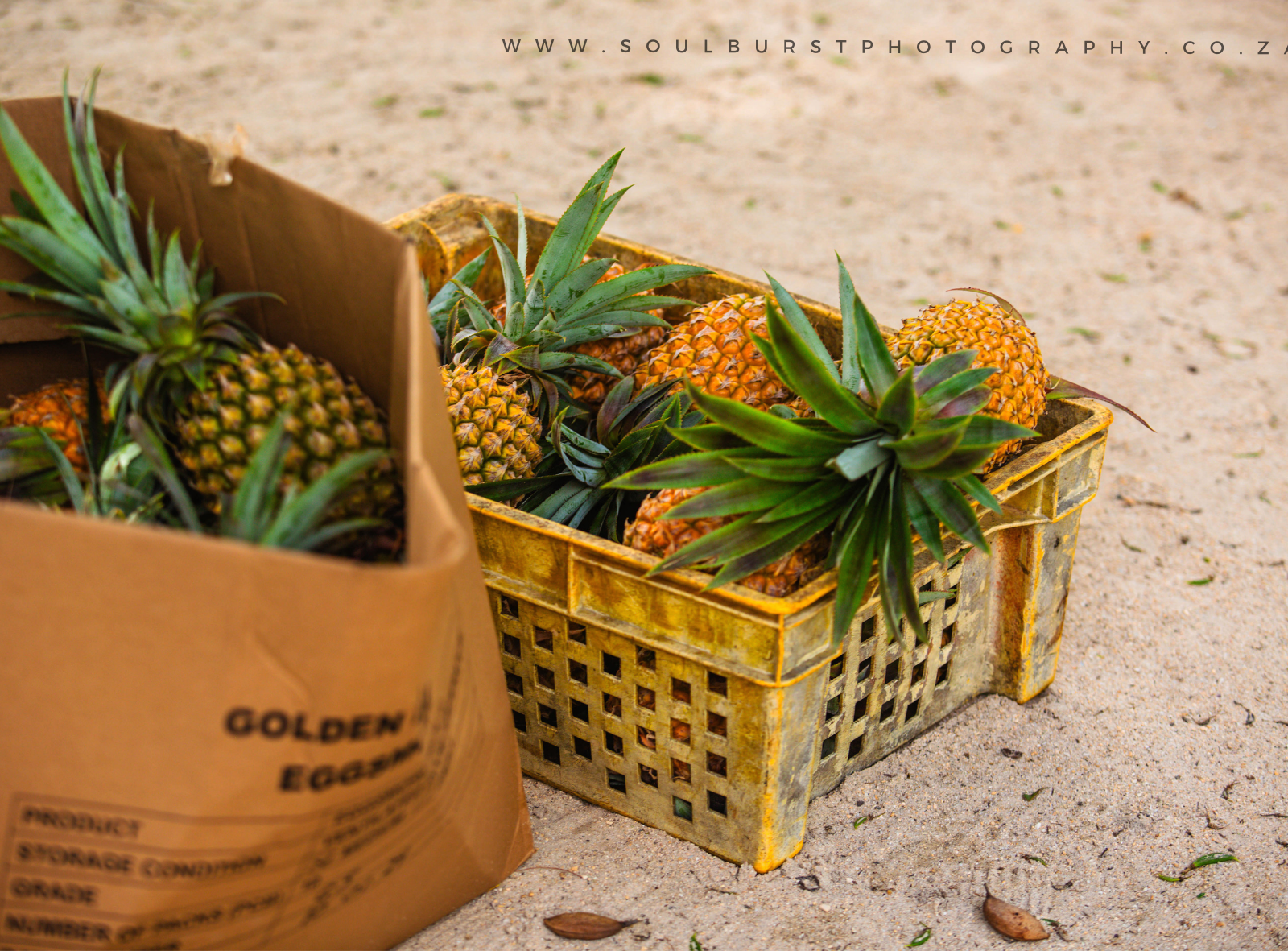Mauritius by leonie, editorial design