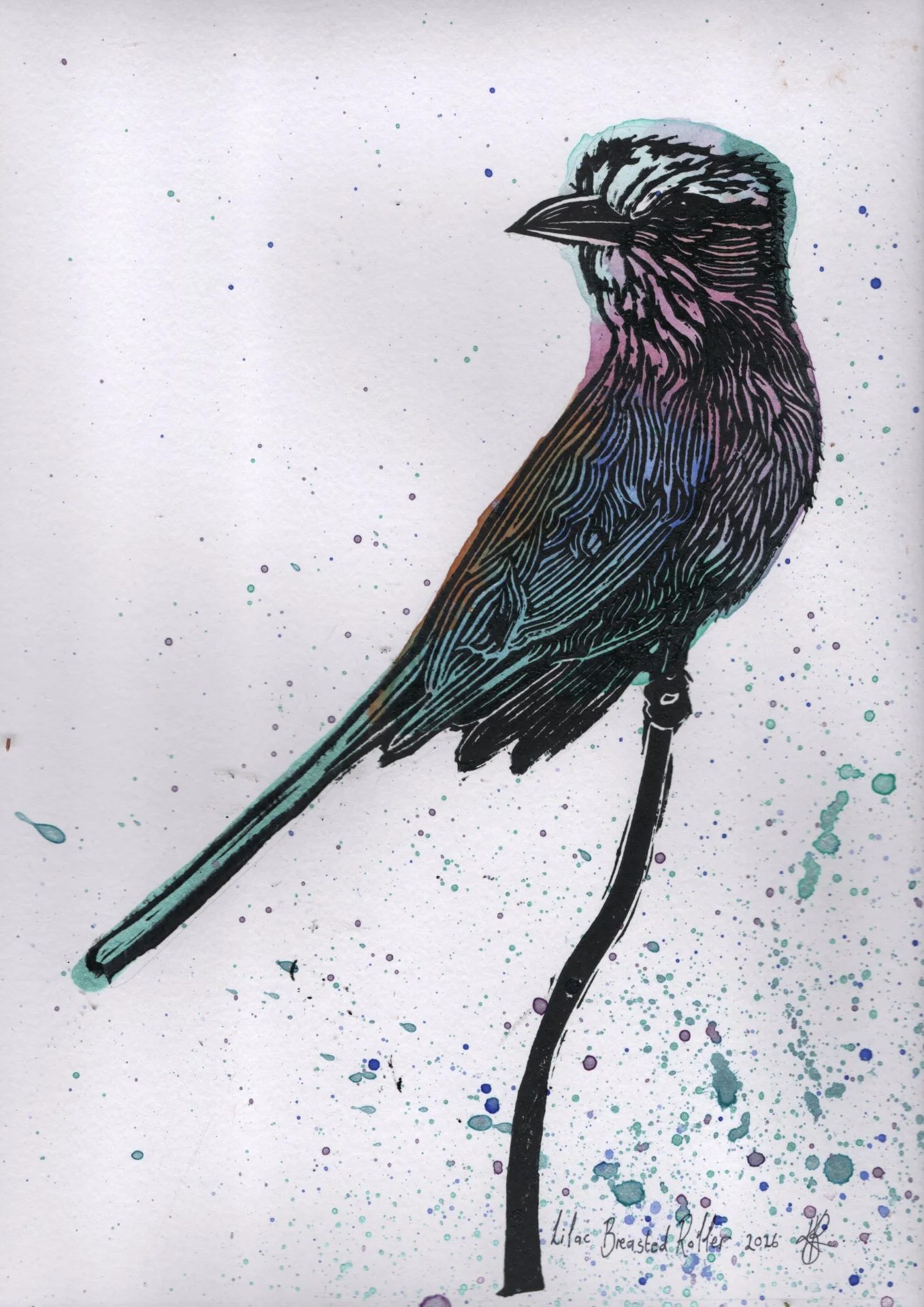 Selected Portfolio by creativecanopy, fine art — printmaker