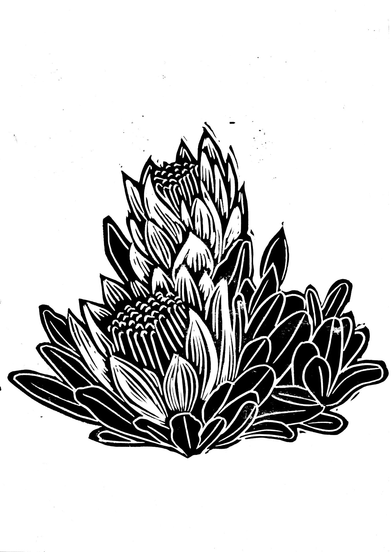 inbound2997333862917738725 by creativecanopy, fine art — printmaker