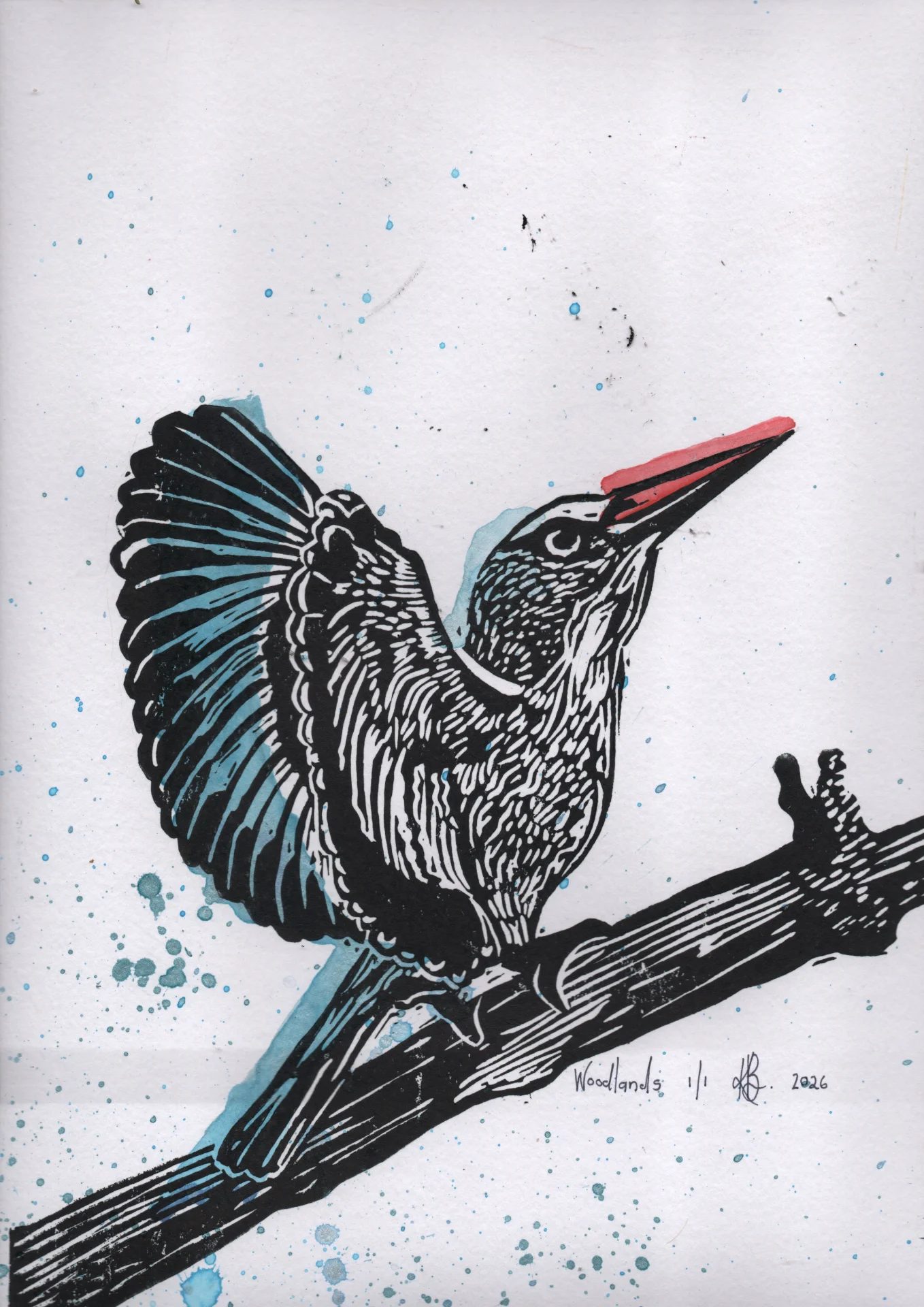 inbound3287137095287379183 by creativecanopy, fine art — printmaker
