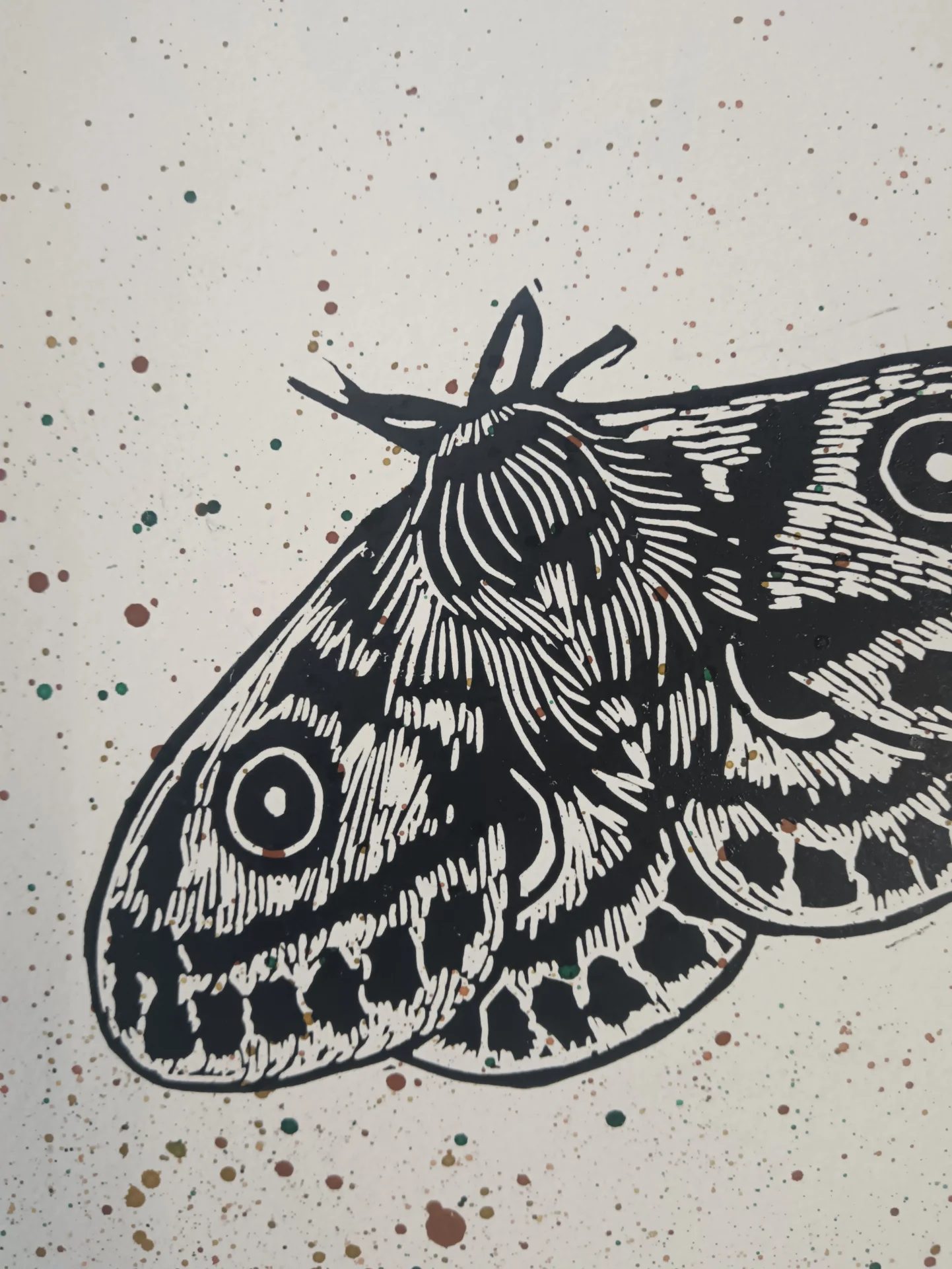 inbound5214103935104829355 by creativecanopy, fine art — printmaker